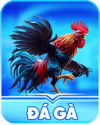 đá gà o8